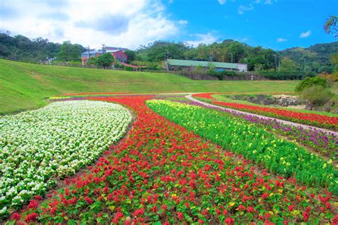 後花園的意思